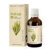 DACIA PLANT Tinctura pedicuta, 50 ml DACIA PLANT Tinctura pedicuta, 50 ml