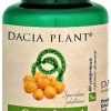 dacia plant spirulina si catina x 60 comprimate