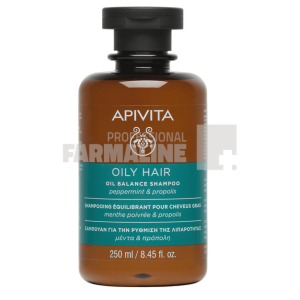 Apivita Hair sampon pentru par gras 250 ml