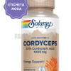 Cordyceps 60 capsule Cordyceps 60 capsule