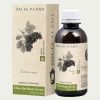 Dacia Plant Elixir din fructe de soc 200ml Dacia Plant Elixir din fructe de soc 200ml