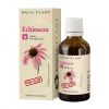 Dacia Plant Echinacea tinctura fără Alcool x 50ml