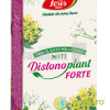 Distonoplant Forte N171 60 capsule
