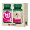 Echinacea Forte 60 comprimate 1 + 1 Gratis