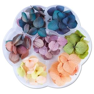 Flori uscate pentru NailArt, Carusel cu flori uscate unghii