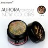 FSM Aurora Top Coat - 09 5ml FSM Aurora Top Coat - 09 5ml