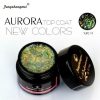 FSM Aurora Top Coat - 11 5ml FSM Aurora Top Coat - 11 5ml
