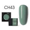 Gel Color Canni Mud Series - CH43