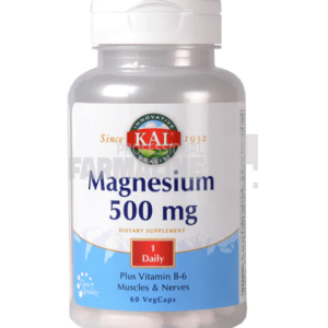 Magnesium 500 mg 60 capsule