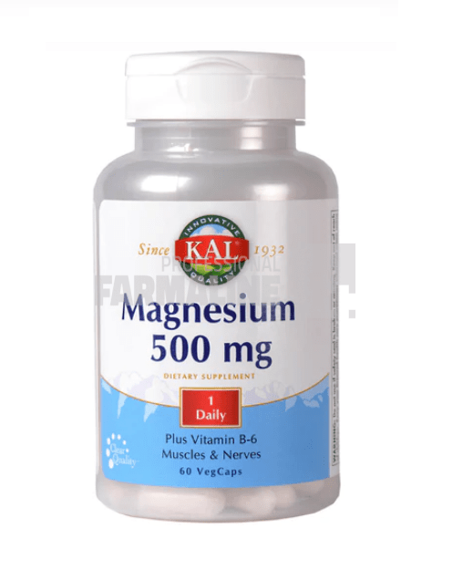 Magnesium 500 mg 60 capsule Magnesium 500 mg 60 capsule