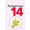 PlantExtrakt Polygemma 14 ( articulatii-detoxifiere ) x 50 ml PlantExtrakt Polygemma 14 ( articulatii-detoxifiere ) x 50 ml