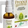 Propolgemma spray fara alcool pentru copii si adulti 30 ml Aboca Propolgemma spray fara alcool pentru copii si adulti 30 ml Aboca