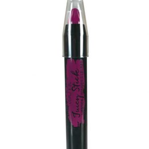 Ruj creion, finisaj mat, Technic Juicy Stick, Berry