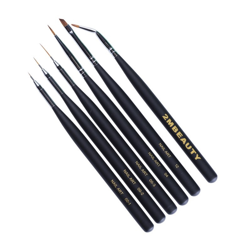 Set 6 Pensule 2M pentru Nail Art Set 6 Pensule 2M pentru Nail Art