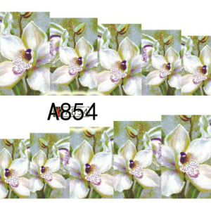 Tatuaj - A854