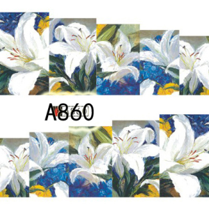 Tatuaj - A860