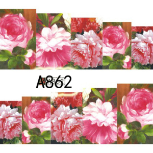 Tatuaj - A862