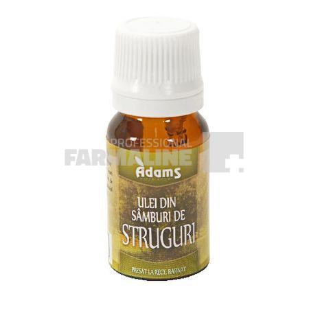 Uleiul din samburi de struguri bio 10 m Uleiul din samburi de struguri bio 10 m