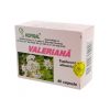 Valeriană, 40 capsule, Hofigal Valeriană, 40 capsule, Hofigal