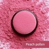 Blush Pudra cu Aplicator ILISYA