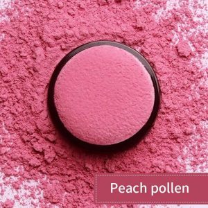 Blush Pudra cu Aplicator ILISYA
