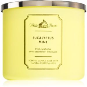Bath & Body Works Eucalyptus Mint lumânare parfumată