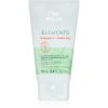 Wella Professionals Elements Masca de curatare cu minerale si argila pentru scalp