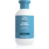 Wella Professionals Invigo Scalp Balance sampon pentru curatarea profunda a scalpului seboreic Wella Professionals Invigo Scalp Balance sampon pentru curatarea profunda a scalpului seboreic