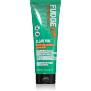 Fudge Clean Mint Shampoo șampon pentru păr gras