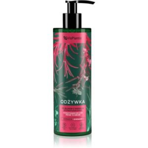 Vis Plantis Herbal Vital Care Rosemary balsam delicat pentru par gras