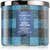 Bath & Body Works Berry Spritzer lumânare parfumată Bath & Body Works Berry Spritzer lumânare parfumată