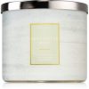 Bath & Body Works Eucalyptus Mint lumânare parfumată Bath & Body Works Eucalyptus Mint lumânare parfumată