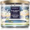 Bath & Body Works Blue Spruce & Spice lumânare parfumată Bath & Body Works Blue Spruce & Spice lumânare parfumată
