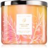 Bath & Body Works Sweet Red Mango lumânare parfumată Bath & Body Works Sweet Red Mango lumânare parfumată
