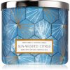 Bath & Body Works Sun-Washed Citrus lumânare parfumată II. Bath & Body Works Sun-Washed Citrus lumânare parfumată II.