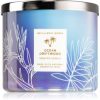 Bath & Body Works Ocean Driftwood lumânare parfumată