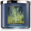 Bath & Body Works Rain Drenched Leaves lumânare parfumată Bath & Body Works Rain Drenched Leaves lumânare parfumată