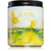 Bath & Body Works Hot Springs and Salted Moss lumânare parfumată