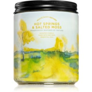 Bath & Body Works Hot Springs and Salted Moss lumânare parfumată