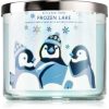 Bath & Body Works Frozen Lake lumânare parfumată IV. Bath & Body Works Frozen Lake lumânare parfumată IV.