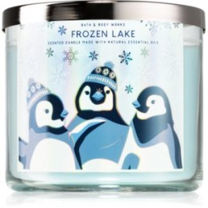 Bath & Body Works Frozen Lake lumânare parfumată IV.