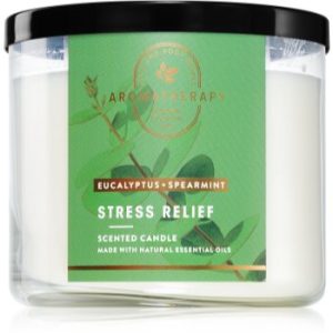 Bath & Body Works Eucalyptus Spearmint lumânare parfumată Stress Relief