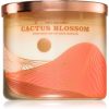 Bath & Body Works Cactus Blossom lumânare parfumată