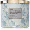 Bath & Body Works Cool Mountain Rain lumânare parfumată