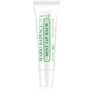 Mario Badescu Mint Lip Balm balsam de buze ultra nutritiv