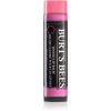 Burt’s Bees Tinted Lip Balm balsam de buze