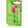 Regina Juicy Summer Watermelon balsam de buze