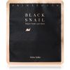 Holika Holika Prime Youth Black Snail mască intensă cu hidrogel Holika Holika Prime Youth Black Snail mască intensă cu hidrogel
