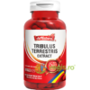 Tribulus Terrestris Extract 60cps