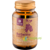 Berberine Forte 500mg 60cps